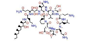 Homophymine E1